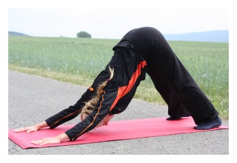 Pranayama